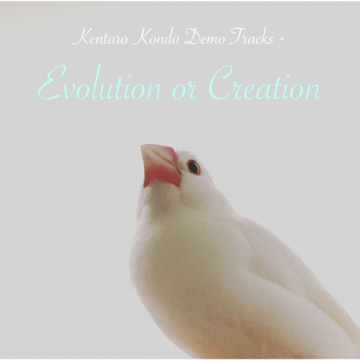 Evolution or Creation(Demo Tracks +)