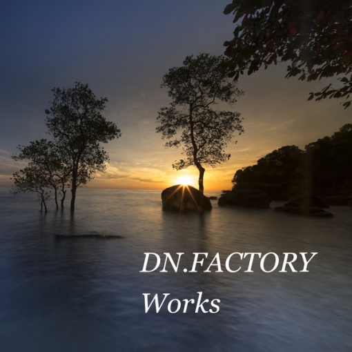 DN.FACTORY Works