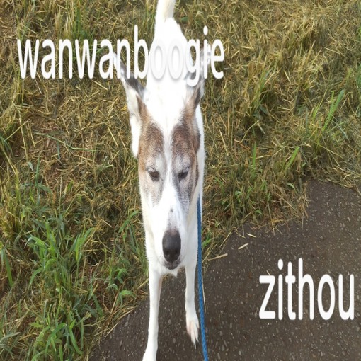 wanwanboogie