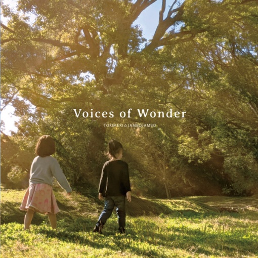 Voices of Wonder