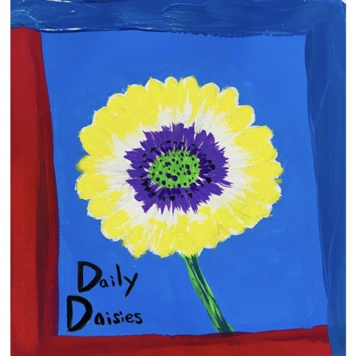 Daily Daisies