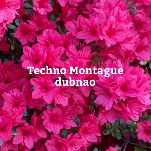 Techno Montague