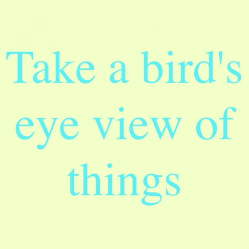 Take a bird’s eye view of things