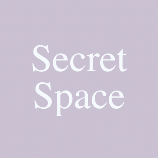 Secret Space