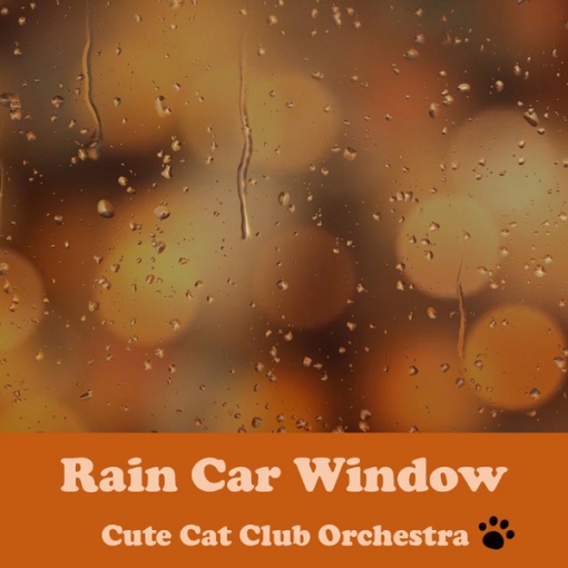 雨の車窓