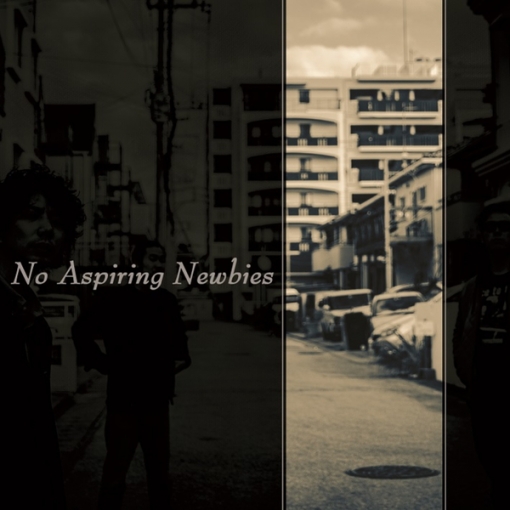 No Aspiring Newbies(EP)