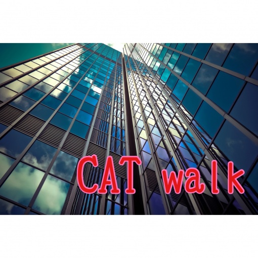 CAT walk