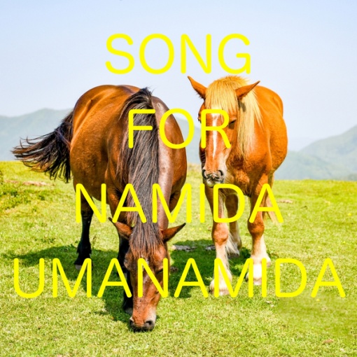 SONG FOR NAMIDA