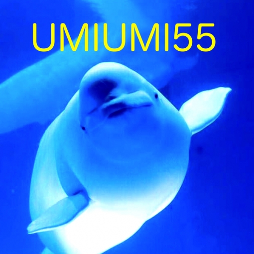 UMIUMI55