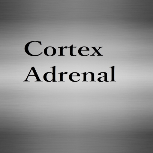 Cortex Adrenal
