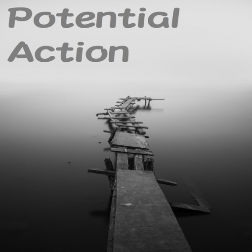 Potential Action