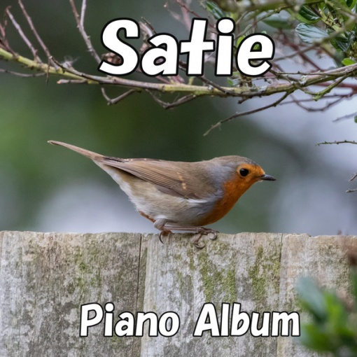 Satie Piano Album