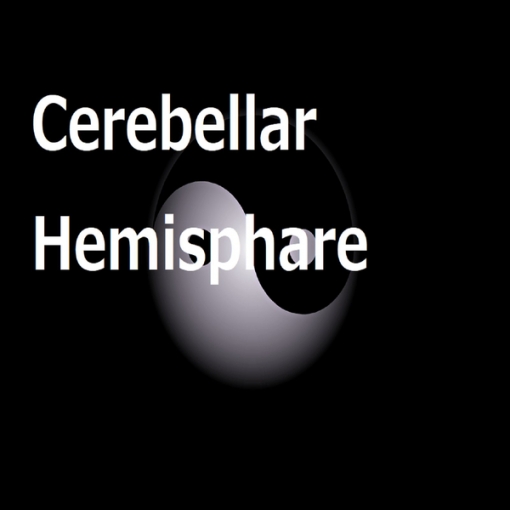 Cerebellar Hemisphare
