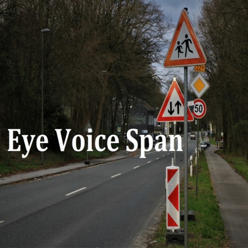 Eye Voice Span