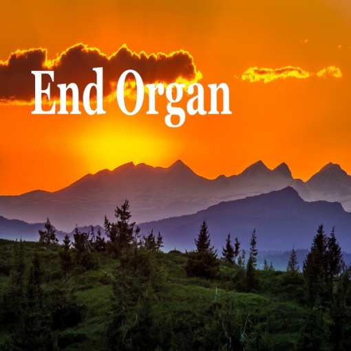End Organ