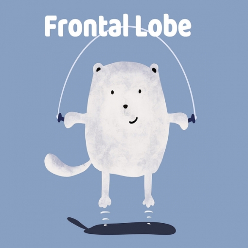 Frontal Lobe