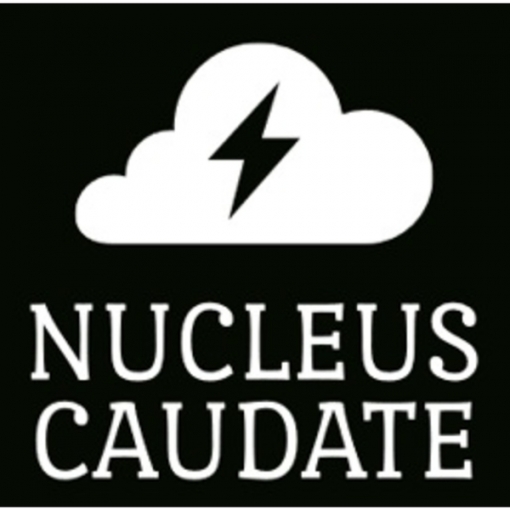 Nucleus Caudate