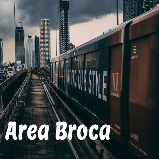 Area Broca