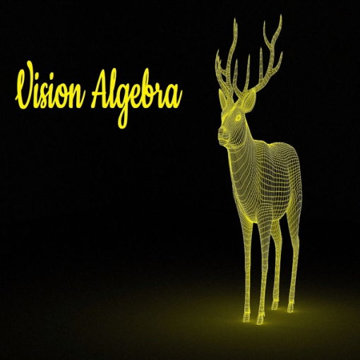 Vision Algebra