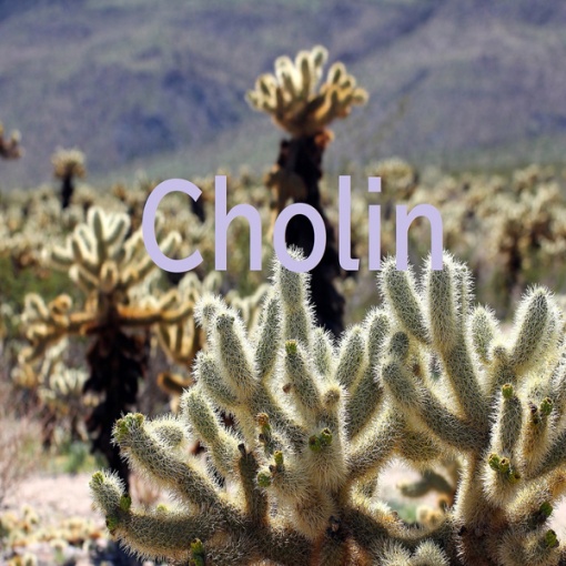 cholin
