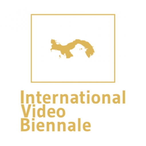 International Video Biennale