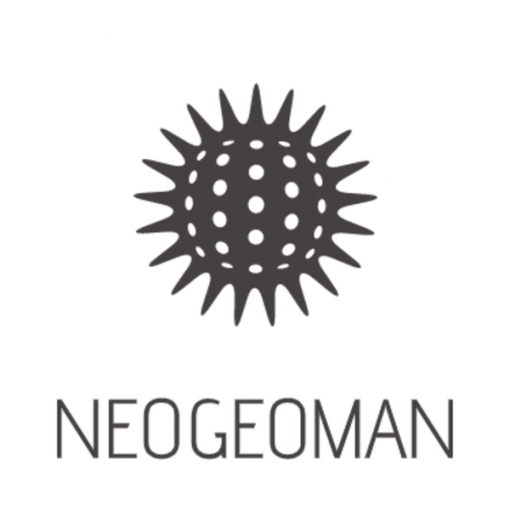 Neo Geoman