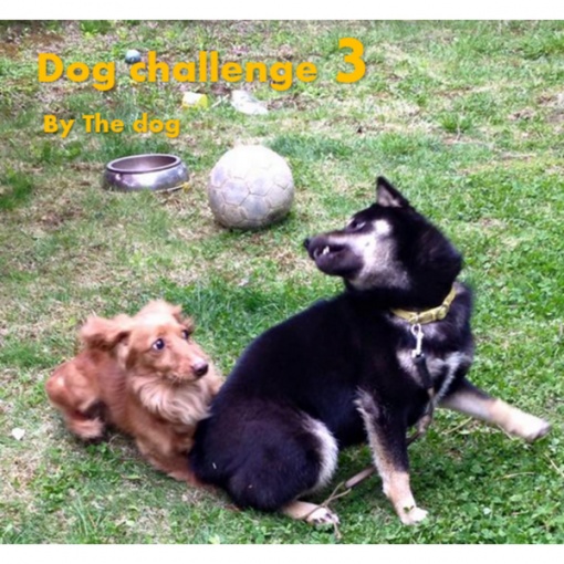 Dog challenge(3)