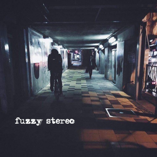 fuzzy stereo