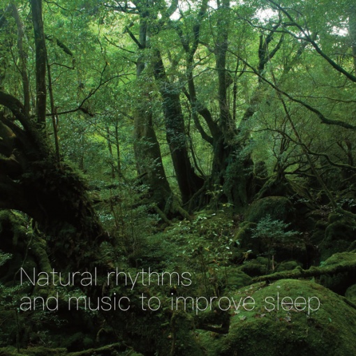 Natural Rhythms and Music To Improve Sleep