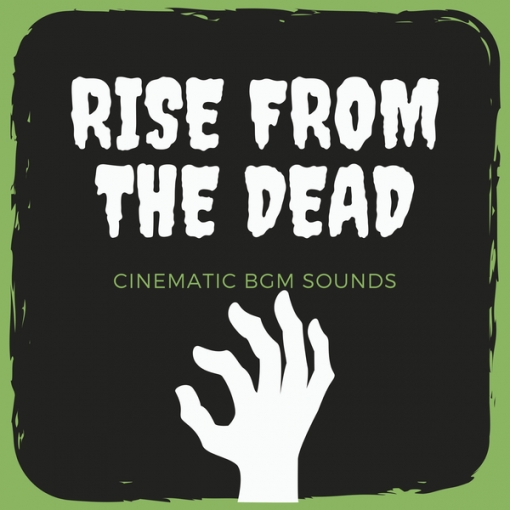 MOVIE CINEMATIC ORCHESTRA -RISE FROM THE DEAD-