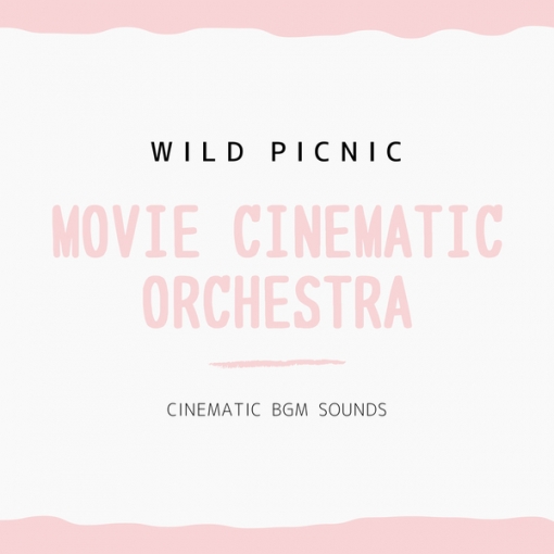 MOVIE CINEMATIC ORCHESTRA -WILD PICNIC-