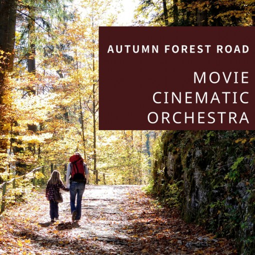 MOVIE CINEMATIC ORCHESTRA -AUTUMN FOREST ROAD-