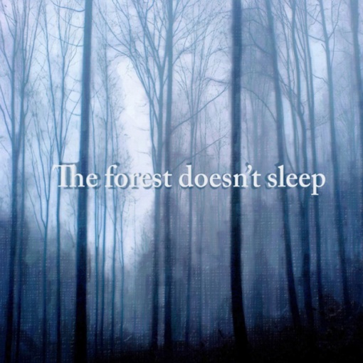 The forest doesn’t sleep