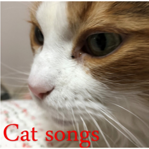 Cat songs