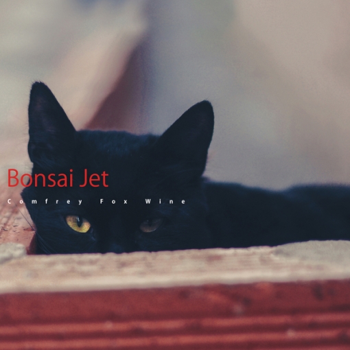 Bonsai Jet
