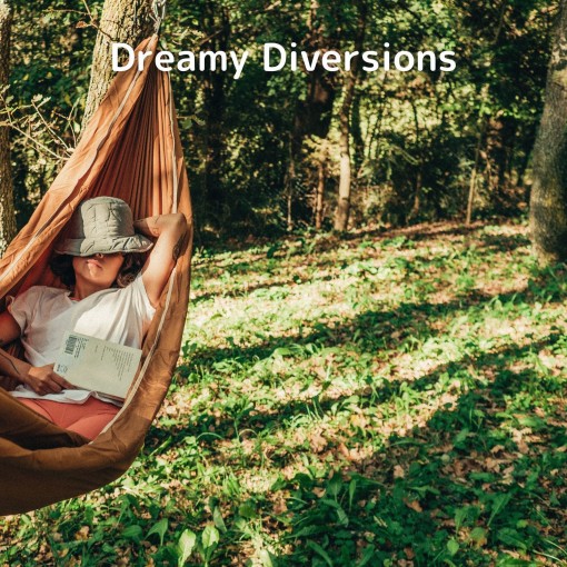 Dreamy Diversions