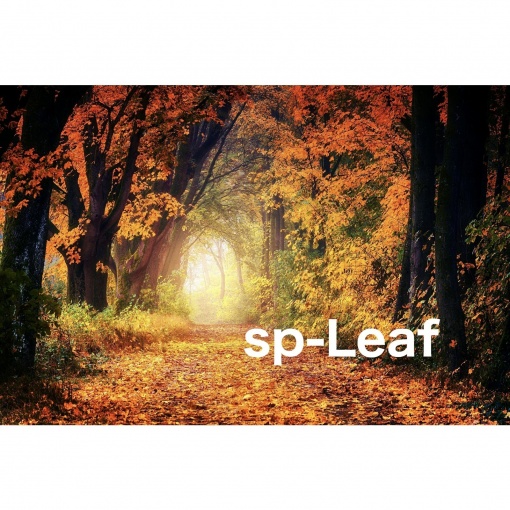 sp-Leaf
