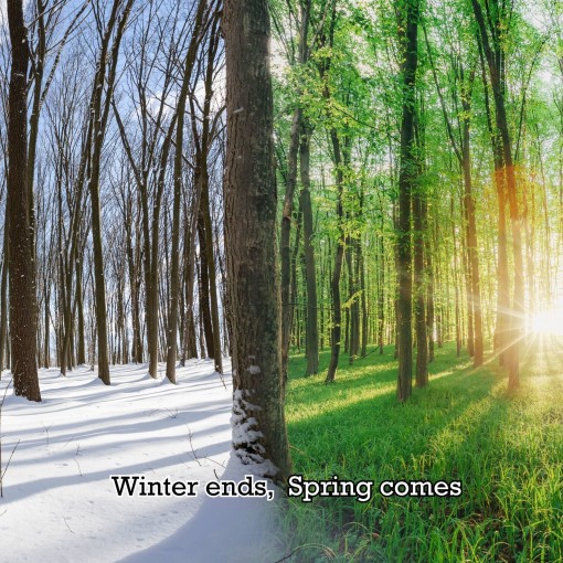 Winter ends spring comes