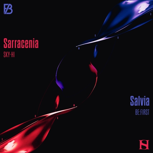 Sarracenia -Instrumental-