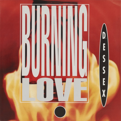 BURNING LOVE (Euro Version)