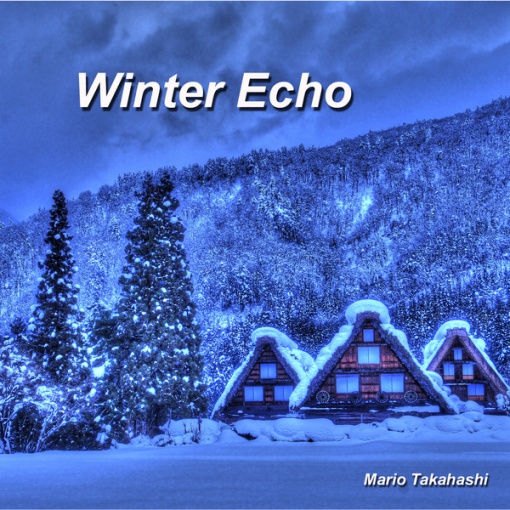 Winter Echo