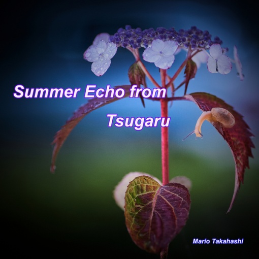 Summer Echo from Tsugaru