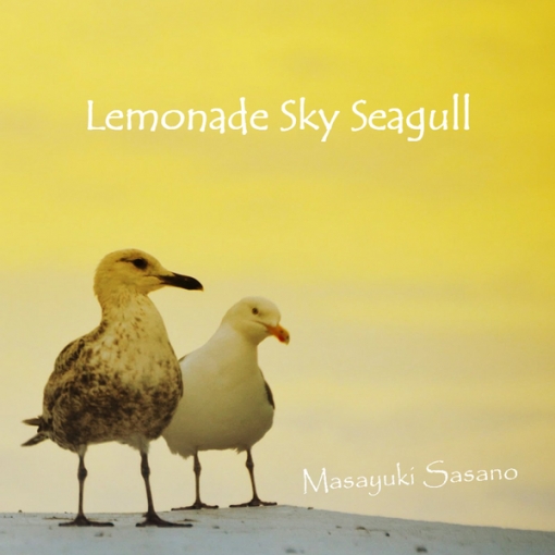Lemonade Sky Seagull