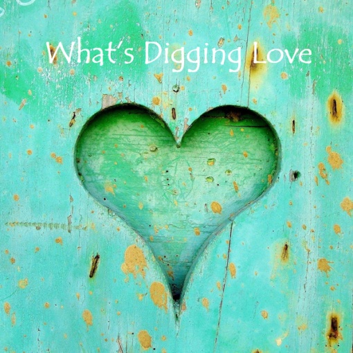What’s Digging Love