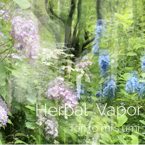 Herbal Vapor