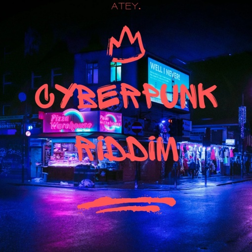 Cyberpunk Riddim