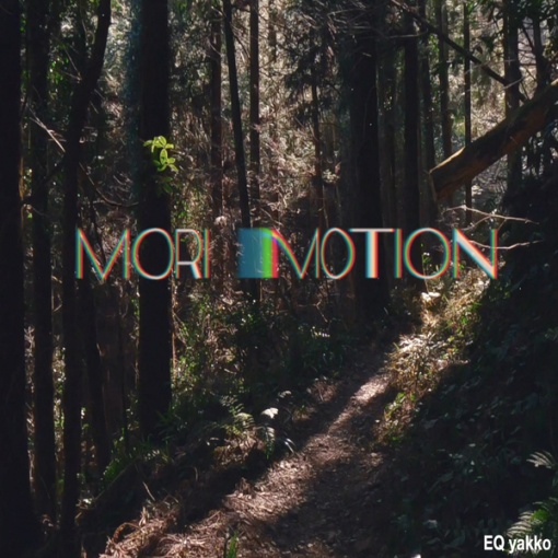 Mori motion