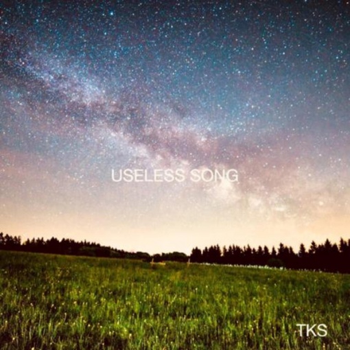 USELESS SONG