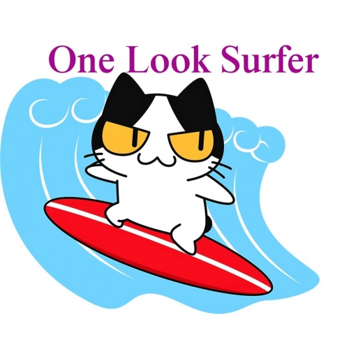 One Look Surfer