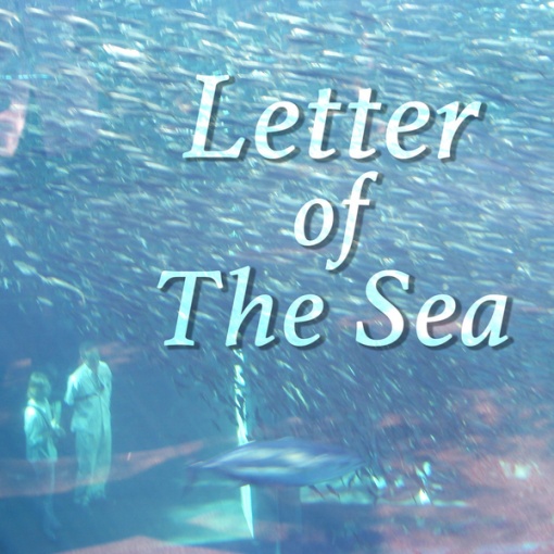 海からの手紙